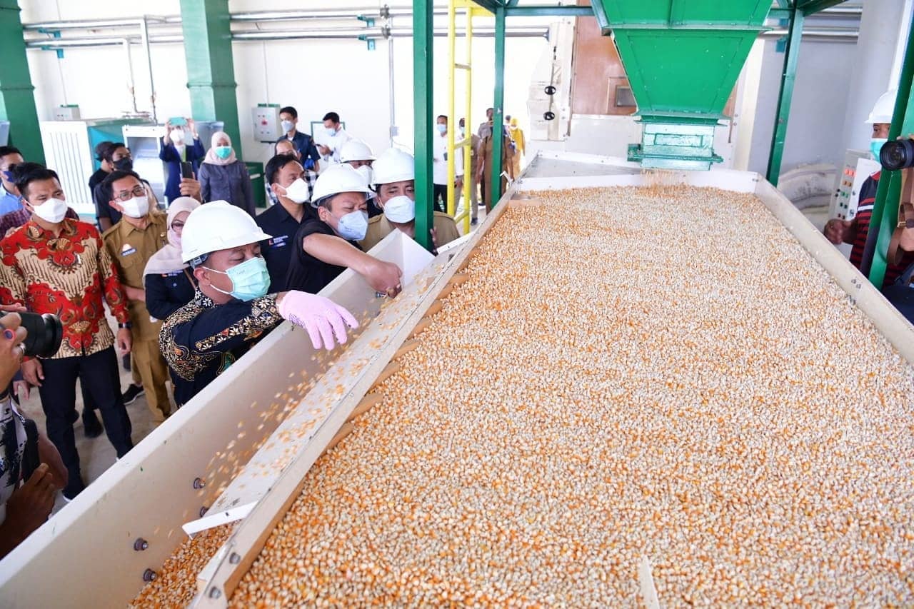 Sulsel Menuju Provinsi Mandiri Benih, Pabrik Pengolahan Benih Jagung Hadir di Maros